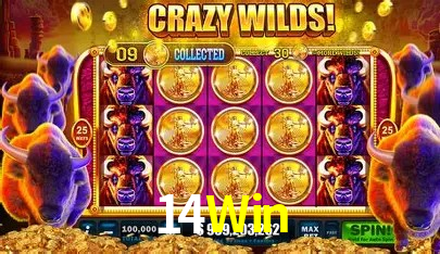 Ofertas Exclusivas 14Win